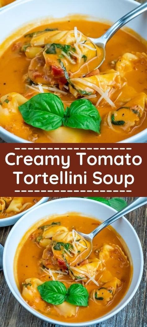 Dive in the velvety goodness of our Creamy Tomato Tortellini Soup recipe, where plump cheese tortellini swim in a rich tomato broth infused with cream and aromatic herbs. For a diverse selection of comforting soup recipes and culinary inspiration, make sure to follow us and keep your soup pot simmering with deliciousness! Creamy Tomato Tortellini Soup, Creamy Tomato Tortellini, Tomato Tortellini, Making Soup, Tomato Tortellini Soup, Comfort Soup Recipes, Chile Poblano, Comforting Soup, Comfort Soup