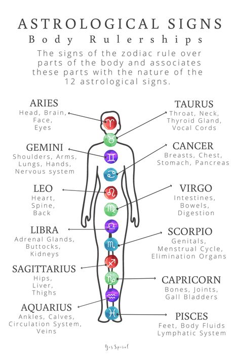 Aries: head, Taurus: Throat: Gemini: Nervous System, Cancer: Chest, Leo: Heart, Virgo: Digestion, Libra: Adrenals, Scorpio: Genitals, Sagittarius: Liver, Capricorn: Bones, Aquarius: Circulation System, Pisces: Lymphatic System Gemini Traits, Astrology Meaning, Medical Astrology, Taurus Traits, Aries Traits, Libra Traits, Leo Traits, Virgo Traits, Astrology Planets