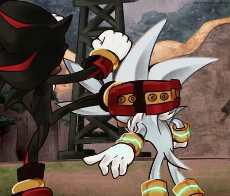 Shadow And Silver, Sonic X Shadow, Blaze The Cat, Sonic X, Sonic Screwdriver, Silver The Hedgehog, Sonic Funny, Sonic Fan Characters, Animal Education