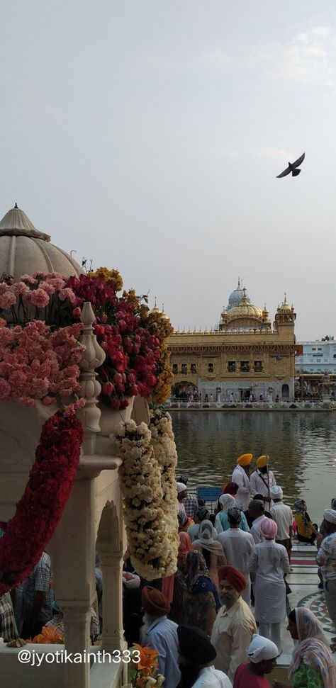 Guru Granth Sahib Ji Wallpapers, Temple Aesthetic Wallpaper, Sikh Wallpapers Hd Wallpaper, Gurunanak Devji Photo Hd, Harmandir Sahib Wallpaper, Guru Nanak Dev Ji Hd Wallpaper, Golden Temple Aesthetic, Gurpurab Guru Nanak Dev Ji, Waheguru Wallpapers