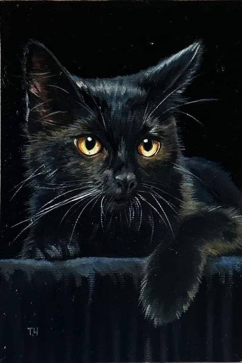 Cute Donkey Drawing Art, Contemporary Portraiture, Black Cat Day, Black Cat Drawing, Cats Painting, Dog Portraits Painting, Black Cat Painting, Cats Art Drawing, Art Deco Paintings