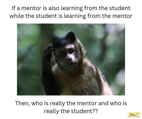 They're both mentor and mentee?? 🤔🤔🤣 Mentor And Mentee, A Meme, Funny Memes, Money, Memes, Funny, Quick Saves