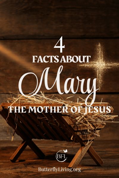 Mary the Mother of Jesus: 4 Interesting Facts Mary Mother Of Jesus Bible Study, Mary Did You Know Devotional, Mary In The Bible, Christmas Bible Study, Holiday Ideas For Kids, Mary The Mother Of Jesus, Sunday School Object Lessons, Jesus Facts, Mary Jesus Mother