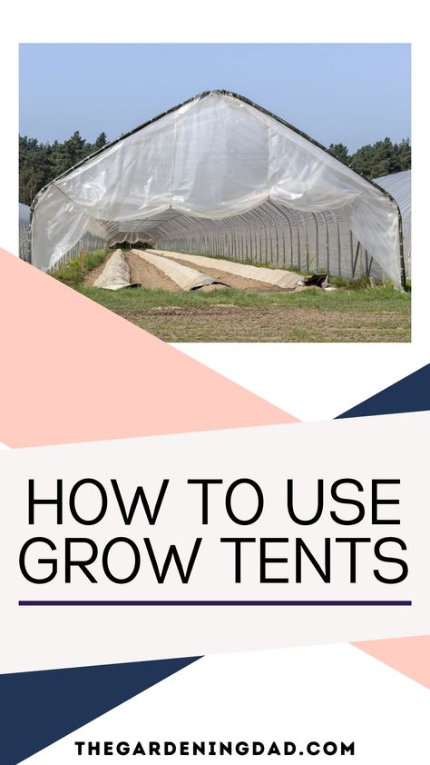 Using Grow Tents is essential if you want a better garden this year! Learn How to Use Grow Tents, what the best grow tents are for your herbs, vegetables, and fruits, and what to look for when buying grow tents! #growtents #gardening #garden Grow Tents Indoor, Climate Zones, Row Covers, Grow Tent, Cold Frame, Greenhouses, All Plants, Hot Weather, Amazing Gardens