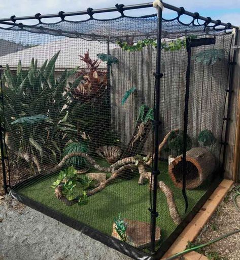 Backyard For Cats, Diy Cat Cage Outdoor, Cat Cages Outdoor, Cat Cage Ideas, Catios Ideas For Cats, Cat Backyard, Cat Netting, Cat Patios, Cat Palace