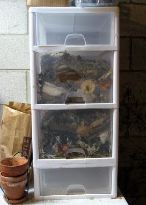 Worm bin made from plastic drawers. Vermiculture Worm Farm, Chicken Coop Easy, Worm Farm Diy, Worm Beds, Worm Composting Bin, Make Compost, Worm Bin, Raising Canes, Chicken Feeders