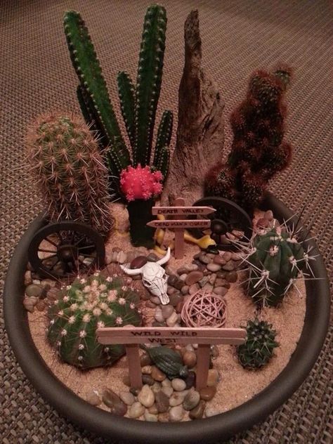 Cactus Fairy Garden, Cactus Dish Garden, Desert Fairy Garden, Desert Terrarium Ideas, Terrarium Desert, Desert Fairy, Desert Terrarium, Mini Cactus Garden, Mini Succulent Garden