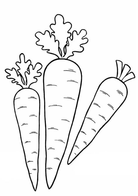 Nursery School Activities, Outline Pictures, Vegetable Coloring Pages, Carrot Colour, Carrot Vegetable, Orange Craft, Thanksgiving Crafts Preschool, Kids Vegetables, Abc Coloring Pages