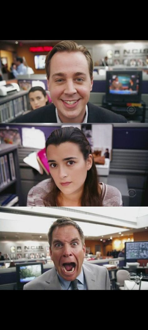 Abby Ncis Aesthetic, Ziva David Aesthetic, Ncis Fanart, Ncis Wallpaper, Ncis Rules, Ncis Funny, Tony Dinozzo, Anthony Dinozzo, Ncis Characters