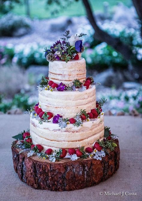 Naked Cakes Woodsy Wedding Cake, Woodsy Cake, Amazon Wedding, San Joaquin Valley, Dream Wedding Cake, Woodsy Wedding, Naked Cakes, Dream Cake, Vintage Elements