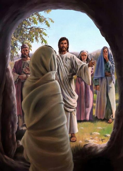 After being dead for three whole days, Jesus resurrected Lazarus! Why did he not speak of going to heaven during that time? Could his hope have been to be brought back to life on  Earth? Ps. 37:10, 11. Psalm 133, Jesus Walking, 5 Solas, Woord Van God, Miracles Of Jesus, Bible Pictures, Jesus Lives, Biblical Art, Jehovah's Witnesses