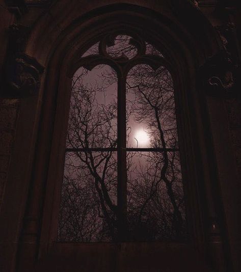 Cinnamon Sugar || D.M - triwizard tournament. - Wattpad Gothic Academia, Walburga Black, Gothic Windows, Energy Vampires, Crystal Castle, Fire Emblem Awakening, Dark Paradise, Southern Gothic, Gothic Aesthetic