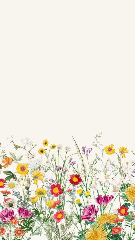 Spring wildflower border mobile wallpaper, colorful botanical background | premium image by rawpixel.com / ton Hello Spring Wallpaper, Wildflower Border, Botanical Background, Spring Iphone Wallpaper, Hd Flower Wallpaper, Floral Backgrounds, Mobile Wallpaper Iphone, Wallpaper Colorful, Floral Cards Design