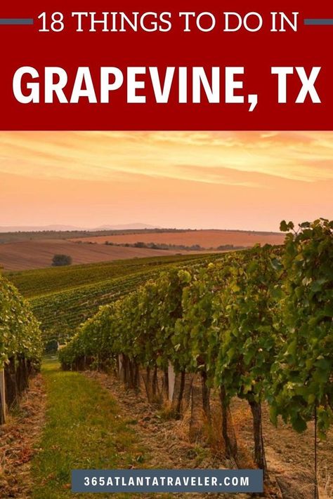 Grapevine has grown into a sprawling cultural hub close enough for a day trip from Dallas and Fort Worth. It’s home to a robust array of cultural experiences, family fun, and adrenaline-pumping adventures. There’s no doubt that you’ll find countless things to do in Grapevine TX. Here’s a list of this vibrant city’s most popular destinations to get you started! Day Trips From Dallas, Top Family Vacations, Texas Travel Guide, Texas Things, Visit Texas, Grapevine Tx, Weekend Activities, Wine Travel, Texas Travel