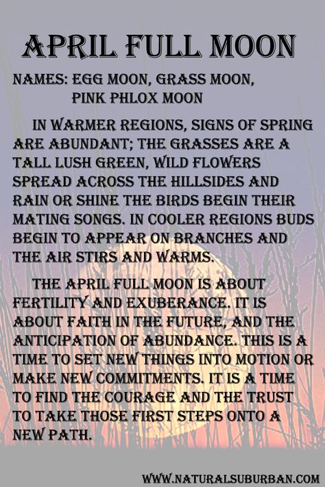 The NoHemi April full moon is all about starting new things and creating abundance. April Full Moon, Moon Grimoire, Witch Info, Full Moon Names, Witchcraft 101, Moon Madness, Moon Chart, Witch School, Moon Meaning