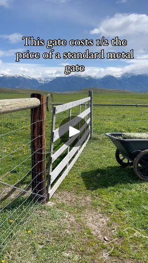 Farm Gate Ideas, Farm Hacks, Icelandic Sheep, Metal Gate, Farm Gate, Fence Screening, Ella Fitzgerald, Fence Gate, Building Plans