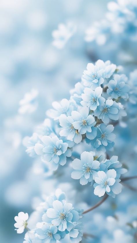 Light Blue Aesthetic Flowers, Blue Flower Aesthetic Wallpaper Iphone, Blue Aesthetic Scenery, Pale Blue Aesthetic, Blue Flowers Background, Aesthetic Wallpapers Iphone, Hd Flower Wallpaper, Blue Flower Wallpaper, Beautiful Wallpapers For Iphone