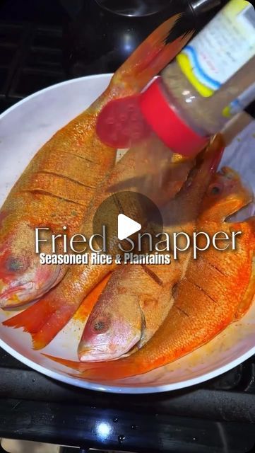 Seafood Network🦞🦐🦀🦑🐙🍤 on Instagram: "Fried Snapper, seasoned rice and plantains 😭
@dashofblancoo" Snapper Fish Recipes Fried, Fried Snapper, Fried Red Snapper Recipes, Fried Snapper Fillet Recipe, Yellowtail Snapper Recipe, Snapper Fillet Recipes, Cooking Red Snapper Filets, Vermillion Snapper Recipes, Red Snapper Ponchartrain