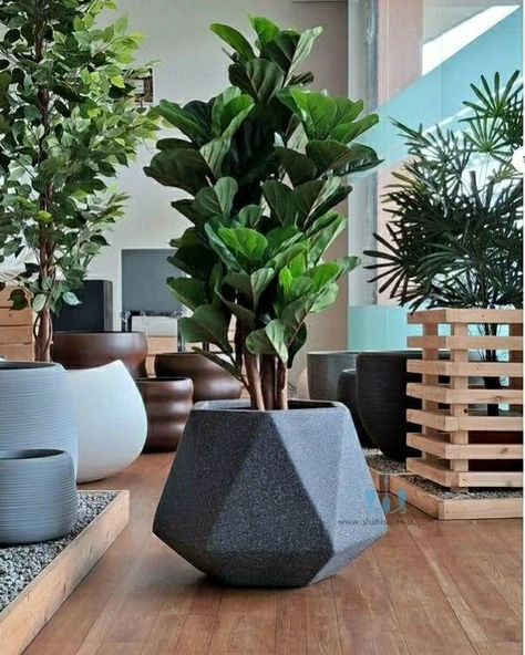 The Vase Shaped FRP Planter With Its Handcrafted Stone Finished Body Create A Warm And Textured Aesthetic. The Geometric Pattern Adds A Unique And Engaging Touch To This Modern Planter. Showcase Your Favorite Plants In Style And Bring A Touch Of Natural Charm To Your Interior. Using Fiberglass Planters In Your Plantscaping Designs Is A Great Way To Enhance The Beauty Of Any Indoor Or Outdoor Landscape. Their Durable, Commercial Grade Construction And Vast Color Choices Make Fiberglass Plant c... Textured Aesthetic, Modern Planter, Fiberglass Planters, Outdoor Landscape, Plant Decor Indoor, Modern Planters, Vase Shapes, Plant Shelves, Outdoor Landscaping