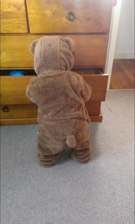 Too cute - the OP writes "Put my son to sleep in his new onesie, woke up to a bear raiding my drawers." - Imgur New Baby Names, Foto Baby, E Card, Baby Outfits, Cute Bears, Future Kids, Future Baby, 귀여운 동물, Baby Fever