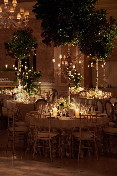 Elegant Tree Lights, Indoor Enchanted Forest Wedding, Enchanted Forest Wedding Theme Indoors, Indoor Modern Wedding, Tuscan Wedding Reception, Kohl Mansion, Indoor Wedding Receptions, Wedding Venues Indoor, Tree Centerpieces