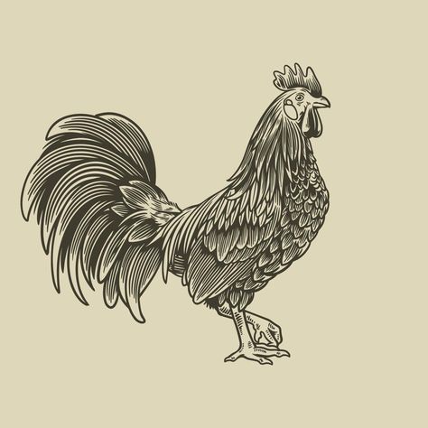 Rooster hand drawn illustration in vintage engraving style. Vector sticker for the farms and manufacturing depicting roster. Grunge label for the chicken product. Farm painting of cockerel Illustrative Tattoos, Rooster Illustration, Farm Painting, Farm Paintings, Side Tattoos, Hand Drawn Illustration, Drawn Illustration, The Chicken, Artsy Fartsy