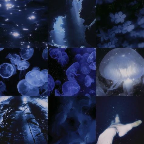 Moodboard dump ‧₊˚✩彡 all moodboards made by me :3 The last one is of my friend stevie :) #therian #moodboardsaesthetic #moodboard #moodboards #aesthetic #therianthropy Deep Sea Moodboard, Jellyfish Moodboard, Sea Moodboard, Ocean Moodboard, Toned Aesthetic, Moodboards Aesthetic, Ocean Goddess, Moodboard Inspo, Goddess Aesthetic