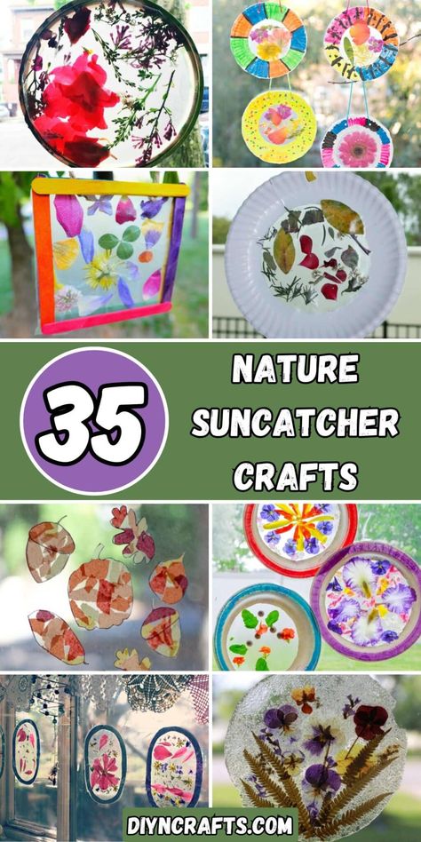 35 Nature Suncatcher Crafts Easy Suncatcher Craft For Kids, Suncatcher Crafts For Kids, Nature Suncatcher, Valentine Day Video, Suncatcher Diy, Creative Photography Projects, Diy Suncatchers, Nature Collage, Suncatcher Craft