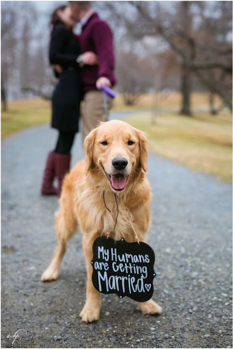 Wedding Engagement Pictures, Engagement Pictures Poses, Engagement Announcement, Engagement Photo Poses, Foto Poses, Winter Engagement, Wedding Engagement Photos, Photo Couple, Jolie Photo