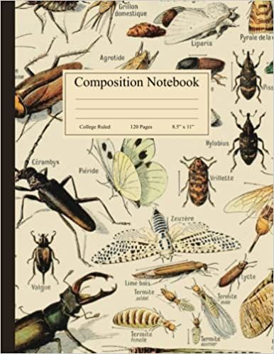 Composition Notebook: Vintage Insect Illustration. Entomology Science Lined Journal, College Ruled, 120 Pages, 8.5" x 11": Press, Productive Stationery: 9798438533979: Amazon.com: Books Goodnotes Covers, Botanical Notebook, Insect Illustration, Composition Notebook Covers, Big Brain, Storyboard Illustration, College Notes, The Artist Movie, Aesthetic Notes