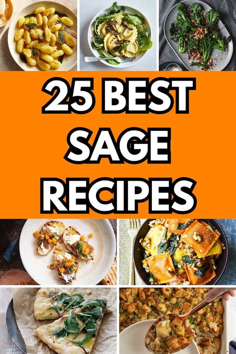 25 Savory Sage Recipes to Warm Your Soul – Happy Muncher Sage Recipes Healthy, Preserving Fresh Sage, Sage Uses Recipes, Recipe With Sage, Recipes With Fresh Sage Leaves, Recipes Using Fresh Sage, Recipes With Sage Leaves, Sage Dishes, Recipes Using Sage