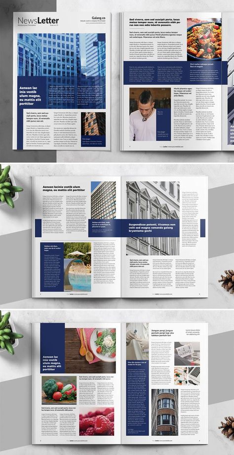 Newsletter Design Print, Newsletter Design Layout, Newsletter Design Templates, Business Newsletter Templates, Newsletter Layout, Pub Design, Business Newsletter, Newsletter Template, Leaflet Design