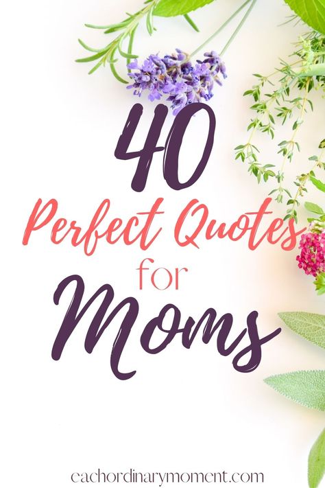 40 perfect quotes for moms Wonderful Mother Quotes, Famous Mothers Day Quotes, Mom Appreciation Quotes, Famous Mother Quotes, Quotes For Mother's Day, Beautiful Mothers Day Quotes, A Beautiful Quote, 40 Quotes, Famous Love Quotes