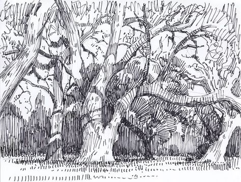 Mike Hernandez  Getting warmer 8.5 x 11 sharpie on bond Griffith Park Mike Hernandez, Griffith Park, Ink Sketch, Animation Background, Urban Sketching, How To Get Warm, Mail Art, Urban Landscape, Pencil Sketch