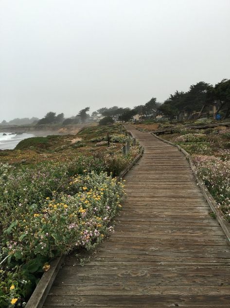 Moonstone Beach (Cambria) - 2019 All You Need to Know BEFORE You Go (with Photos) - TripAdvisor Church Announcements, Cambria California, Soothing Images, Moonstone Beach, Vacation Wishes, Travel Noire, Caravan Interior, Coastal Life, Zen Meditation