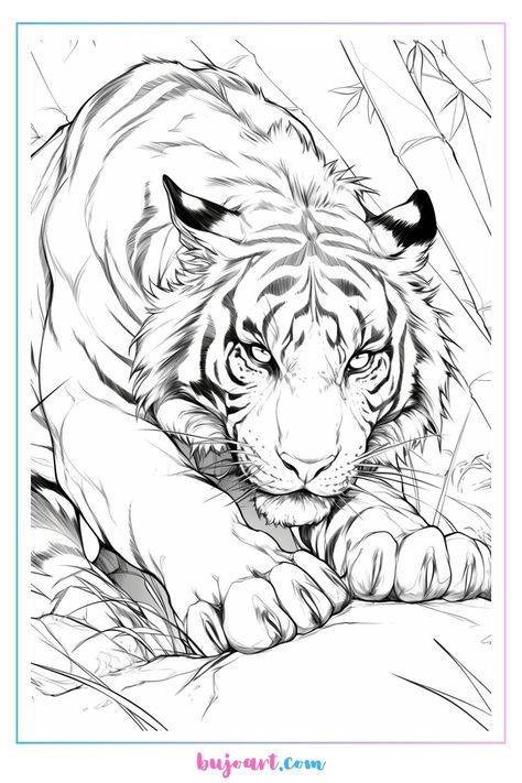 Jaguar Drawing Sketches, White Tiger Drawing, Realistic Animal Coloring Pages, Tiger Drawings, Lion Head Drawing, Tiger Coloring Pages, Wolf Coloring Pages, Tiger Coloring, Tiger Sketch