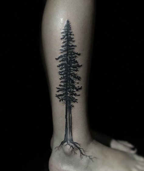 A lone evergreen could tell the story of your life; that no matter what harsh weathers and challenges comes, you are still able to stand strong. Tree Tattoo Calf, Tree Leg Tattoo, Redwood Tattoo, Evergreen Tree Tattoo, Pine Tattoo, Tattoo Tree, Ankle Tattoo Designs, Pine Tree Tattoo, Scar Tattoo