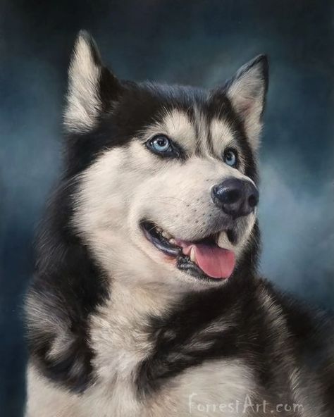 Dog Portrait Drawing, Pet Artist, Husky Pics, Wolf Quotes, Puppy Art, Siberian Husky Dog, Pets Drawing, Cute Pugs, Lone Wolf