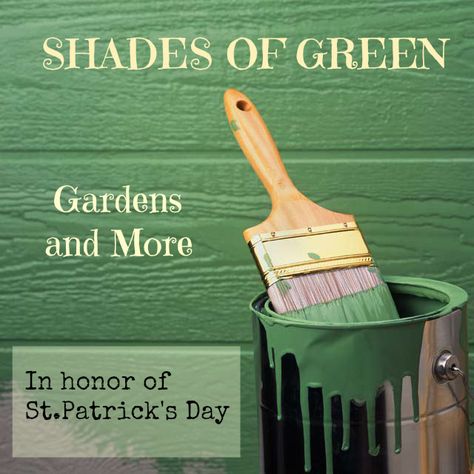 Shades of Green in the Garden In Honor of St. Patrick's Day Ninja Turtles Bedroom Ideas, Ninja Turtles Bedroom, Teenage Mutant Ninja Turtles Bedroom, Tmnt Bedroom, Ninja Turtle Room, Ninja Turtle Bedroom, Camo Bedroom, Turtle Bedroom, Turtle Room