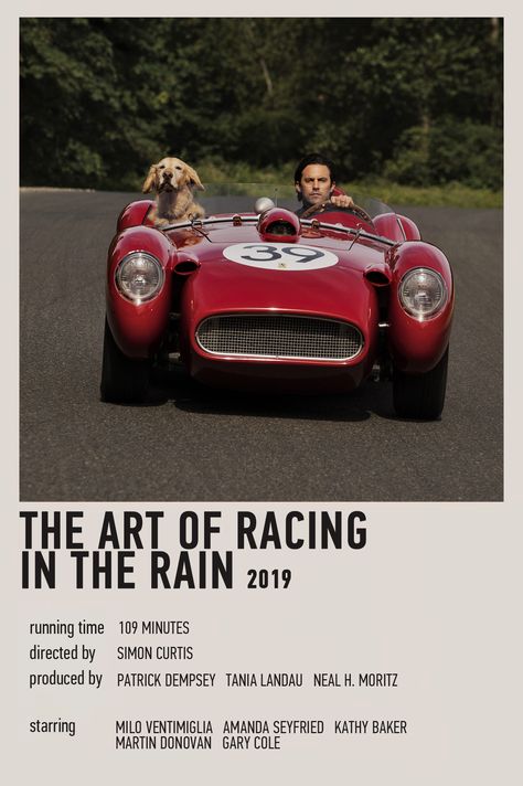 The Art Of Racing In The Rain Poster, The Art Of Racing In The Rain Book, The Art Of Racing In The Rain, Minimalistic Polaroid Poster, The Rain Movie, Racing In The Rain, Simon Curtis, Formula One Race, Movie Recs