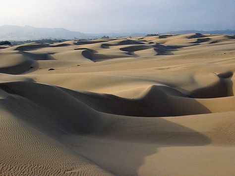 25 Quotes From The Greatest Science Fiction Author Ever To Have Lived Desert Pictures, Fun Deserts, 25th Quotes, Pismo Beach, Central California, Pacific Coast Highway, California Beach, The Dunes, Pacific Coast