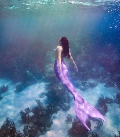 1,028 Likes, 4 Comments - mermaids are real (@sirenalia) on Instagram: “Each and every mermaid gets a special underwater photo shoot at our retreat next month! . . .…” Mermaid Aesthetics, Mer People, Moon Mermaid, Mermaid Purple, Real Life Mermaids, Art Vampire, Underwater Swimming, Mermaid Melody Pichi Pichi Pitch, Mermaid Ideas