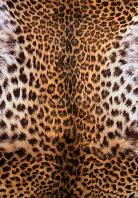 Iphone Wallpaper King, Art Studio Storage, Tiger Skin, Fur Texture, Bedroom Wall Designs, Animal Print Wallpaper, Abstract Pattern Design, Leopard Skin, African Textiles