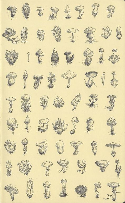 Fungi Tattoos, Different Types Of Mushrooms, Types Of Mushrooms, Mushroom Tattoos, 동화 삽화, Handpoke Tattoo, Mushroom Drawing, Mushroom Art, Art Plastique