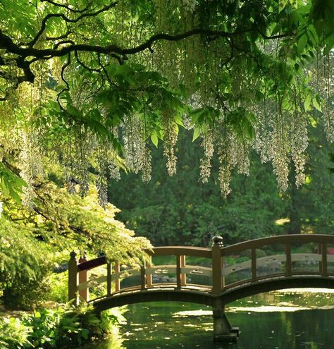 Victoria Island, Trees And Flowers, A Bridge, Nature Aesthetic, Pretty Places, Shade Garden, Japanese Garden, Dream Garden, Garden Bridge