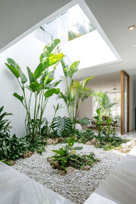 Indoor Courtyard Plants, Indoor Garden Skylight, Indoor Atrium Garden, Inside Garden Ideas Interiors, Atriums In Houses, Atrium House Indoor, Indoor Skylight, Inner Courtyard Design, Indoor Courtyard Garden