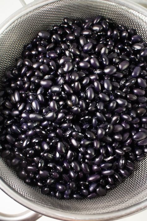 How to grow black bean plants from seeds in your vegetable garden. Looking for a new plant to grow in your garden this year? Try growing black beans! They're easy to grow, produce a good yield and store great for recipes! Black Bean Plant, Runner Tips, Bean Plant, Greenhouse Growing, Garden Vines, Planting Seeds, Black Beans, Backyard Garden, Vegetable Garden