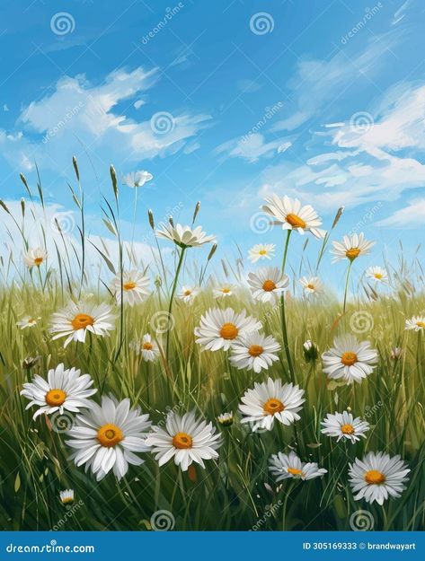 Painting of Daisies in a Grassy Field Stock Illustration - Illustration of nature, acrylic: 305169333 Daisy Field Painting, Staircase Mural, Daisy Field, Grassy Field, Editorial Illustration, Brunette Hair, Brunette Hair Color, A Group, Needle Felting