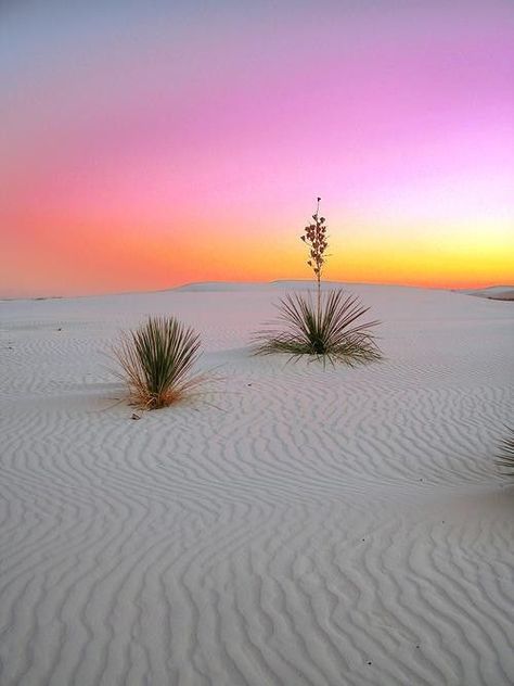 Travel New Mexico, White Sands National Monument, Land Of Enchantment, Beautiful Sunrise, In The Desert, National Monuments, Sand Dunes, White Sand, The Desert