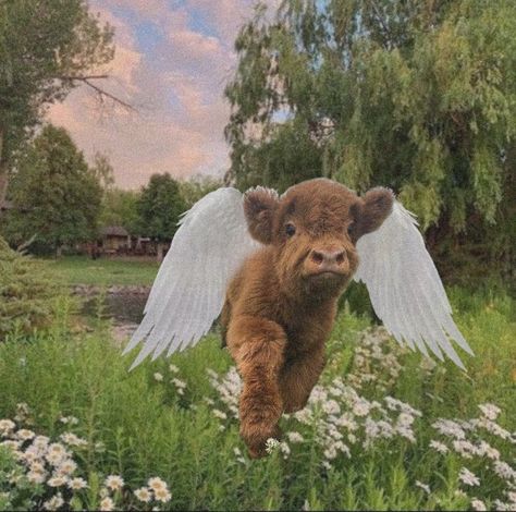 cottagecore fairycore cow angel angelic summer cute animal wallpaper pfp background Fairycore Pfp, Cottagecore Pictures, Cottagecore Animals, Cottagecore Wallpaper, Pet Cows, Cow Wallpaper, Wallpaper Pfp, Cow Drawing, Cutee Animals